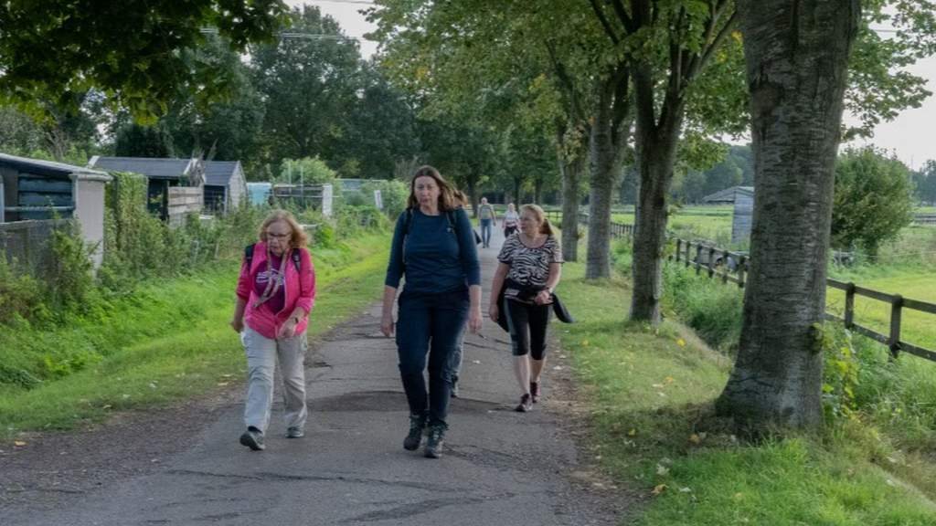 Herfstwandeltocht brengt wandelaars in beweging